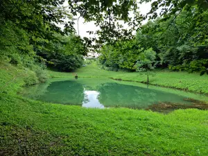 Šmitovo jezero