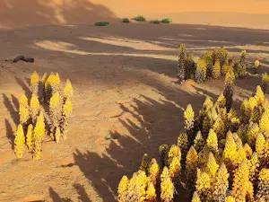 Merzouga Dunes
