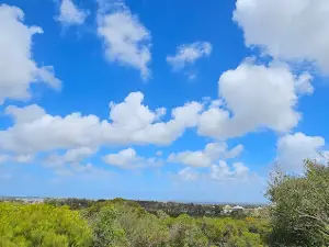 Meningie Hill Lookout