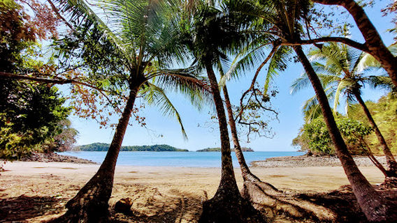 Playa Arena Bonita