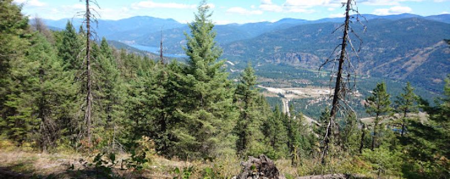 Brent Mountain Protected Area