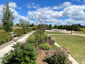Central Park of Maple Grove