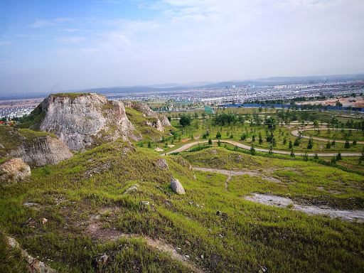 Forest Park Hillpark