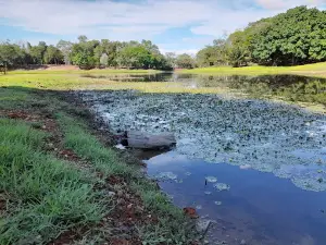 Montelibano's Ecological Park | COMFACOR