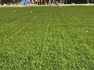 SHATI Alsuha Park