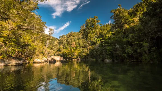 Abel Tasman Eco Tours