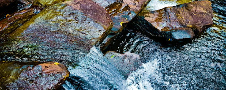 Scout Falls