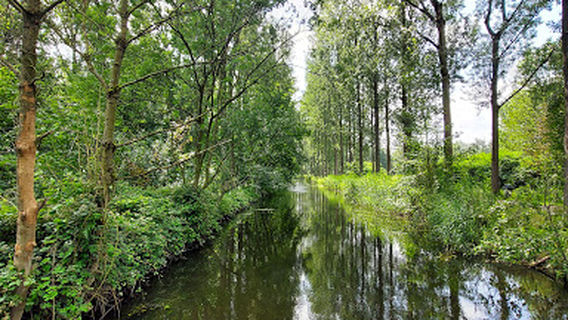 Wachtebeke