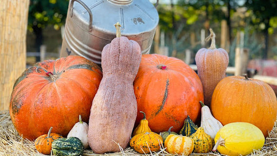 Azienda agricola la Campanella