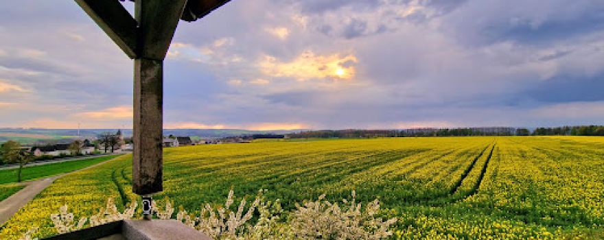 Aussichtsturm Bell/Hunsrück