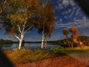 Mill Yard Park