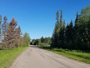Chitek Lake Recreation Site