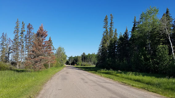 Chitek Lake Recreation Site