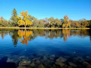 Regional Park Auburn Disc Golf Course