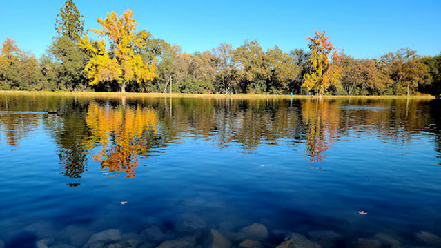 Regional Park Auburn Disc Golf Course