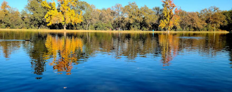 Regional Park Auburn Disc Golf Course