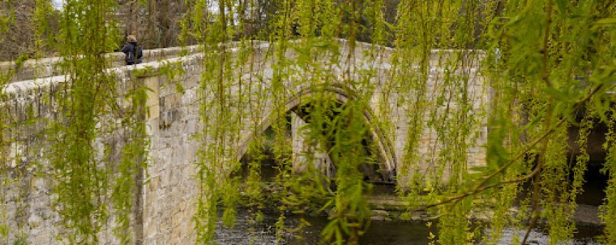Warkworth Medieval Bridge