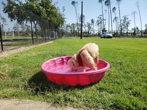 Al Helms Dog Park
