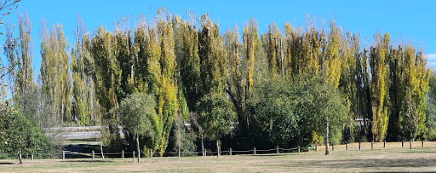 Millton Memorial Park