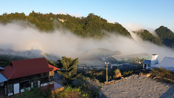 Moc Suong Oolong Plantation