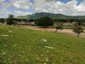 Rond Point autruche de Goz-beida