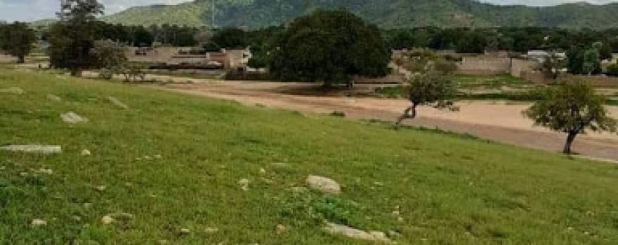Rond Point autruche de Goz-beida