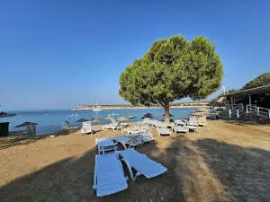Didim polis moral kampı