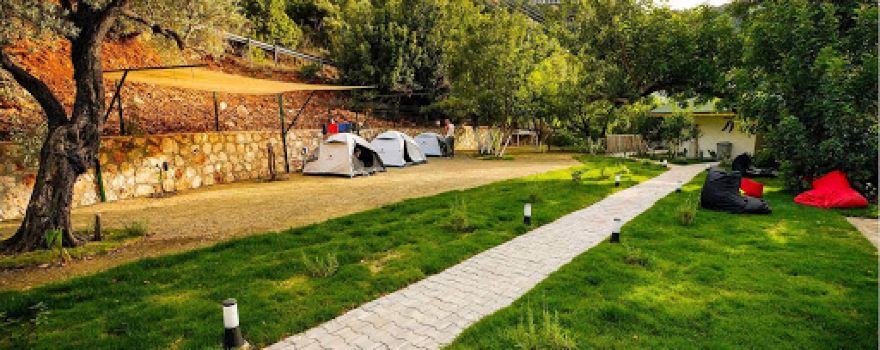 Harnup Camping