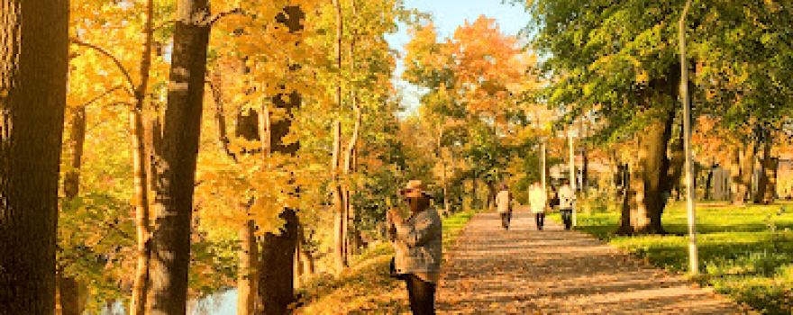 Gorodkoy Park "Neman"