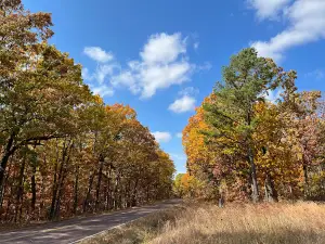 Pea Ridge Conservation Area