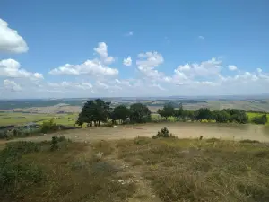 Çamlık