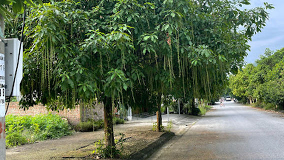 Bắc Kạn