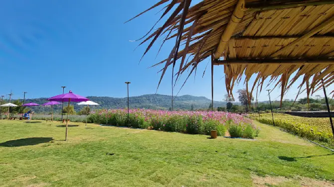 Chateau Chili & Laven De Brume