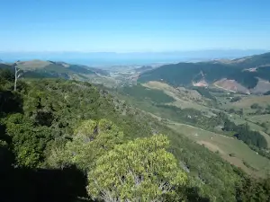 Hawkes Lookout Walk