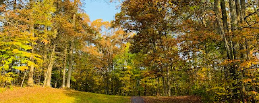 Lake Chippewa Campground