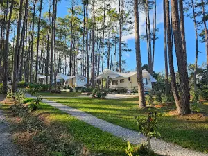 Doi Bo Luang Forest Park Forest