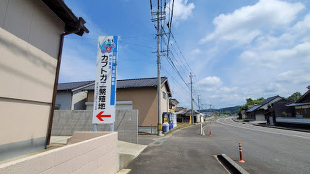 伊万里湾カブトガニの館