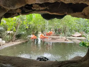 Bosque y Zoológico de la Ciudad