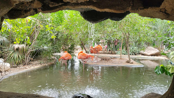 Bosque y Zoológico de la Ciudad