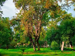 Alameda Melchor Ocampo Public Park