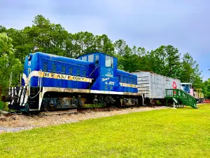 New Hope Valley Railway