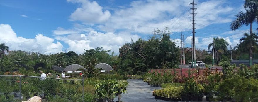 El Abanico Nursery