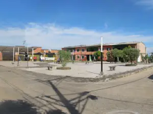 Barrio Las Palmas Park