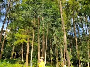 Puntiung - Bissolloro Camping