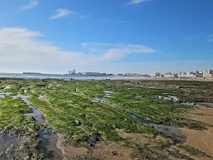 La Grande Plage