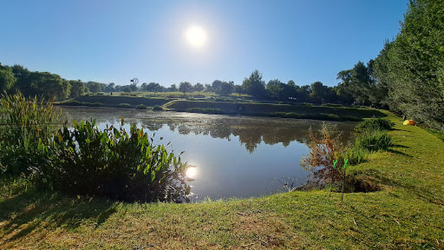 Brookwood trout farm JHB