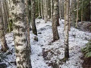 Riihimäki jäähalli