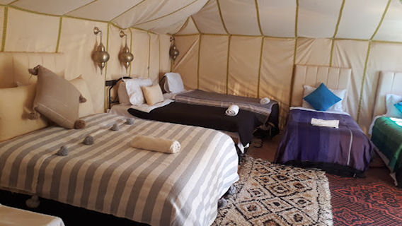 Camp camel tour sahara