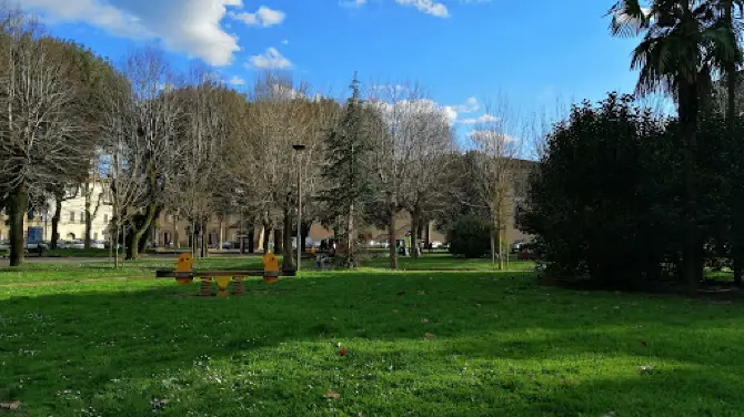 Square gardens matteotti