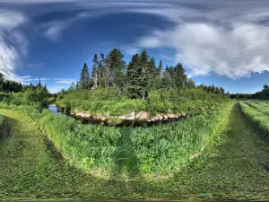 Greenwood Lodge & Campsites
